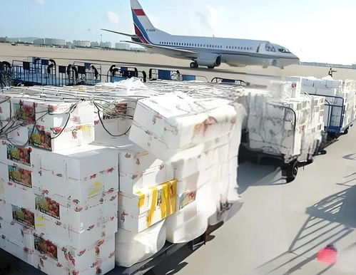 北海荔枝航空貨運怎么收費
